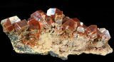 Huge Red & Brown Vanadinite Crystals on Matrix - Morocco #42208-1